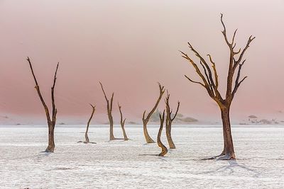 Echappée namibienne, de la simplicité à l'éclat