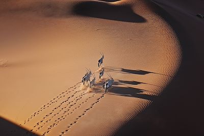 Voyage Montagnes du Naukluft 