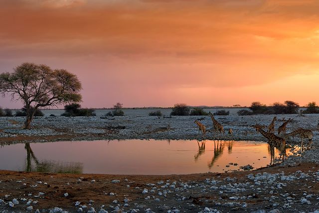 Voyage Les grands espaces de Namibie