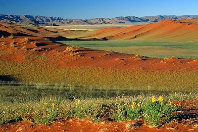 Désert du Kalahari - Namibie