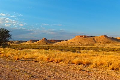 Désert du Kalahari - Namibie