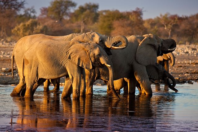 Voyage Grand trek de Namibie