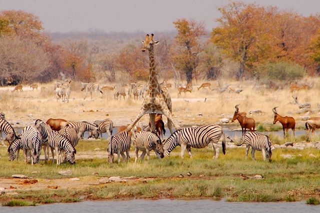 Voyage Grand trek de Namibie