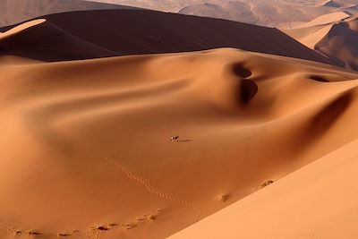 Sossusvlei et Dead Vlei - Désert du Namib - Namibie