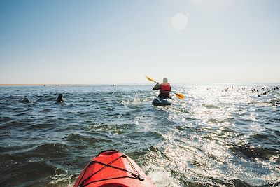 Kayak dans la Baie de Walvis - Namibie