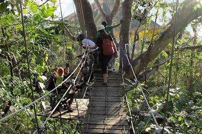 Canopy (tyrolienne) - Ometepe - Nicaragua