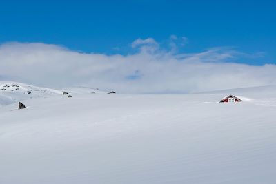 Plateau du Hardangervidda - Norvège