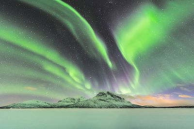 Observation animalière Norvège