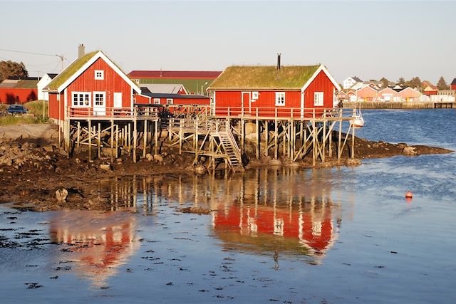 Voyage Les Lofoten d'île en île