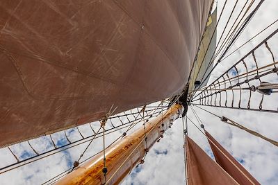 Mâture et voiles - Fleur de Lampaul - France