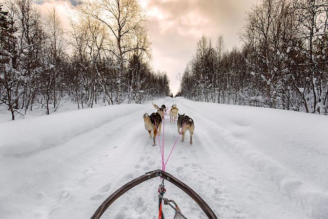 Voyage Multi-activité hivernal dans les Alpes de Lyngen