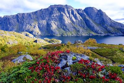 Ile de Lille Molla - Lofoten - Norvège