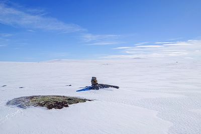 Plateau du Hardangervidda - Norvège