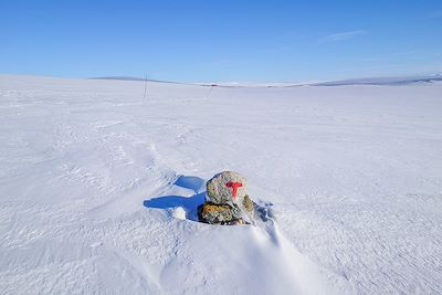 Plateau du Hardangervidda - Norvège