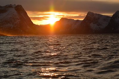 Mefjord Brygge - Senjahopen - Norvège