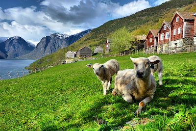 Aurland - Norvège