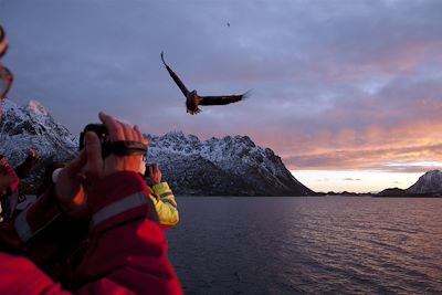 Svinoya Rorbuer - Svolvaer - Norvège