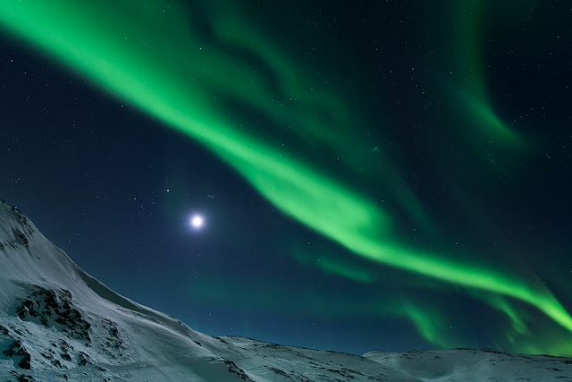 Voyage Baleines et orques des Alpes de Lyngen