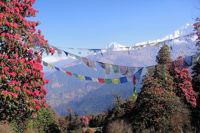 Voyage Balcon et sanctuaire des Annapurnas