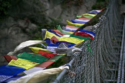 Tour du massif des Annapurnas - Népal