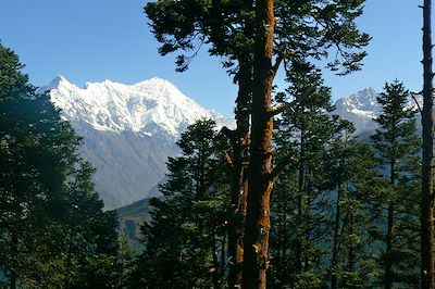 Vallée du Langtang - Népal