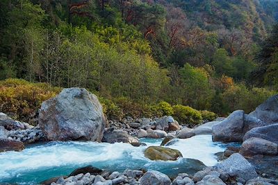 Vallée du Langtang - Népal