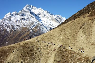 Tour du Manaslu - Népal