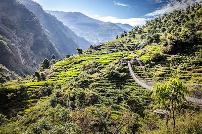 Tour du Manaslu - Népal