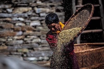 Tour du Manaslu - Népal