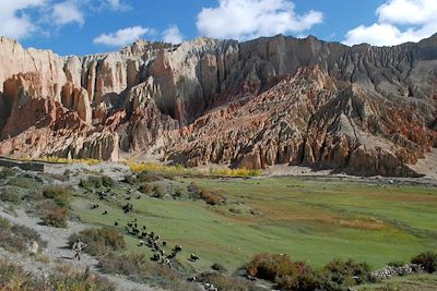 Village de Dhakmar - Mustang