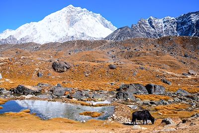 Vallée du Khumbu - Himalaya - Népal