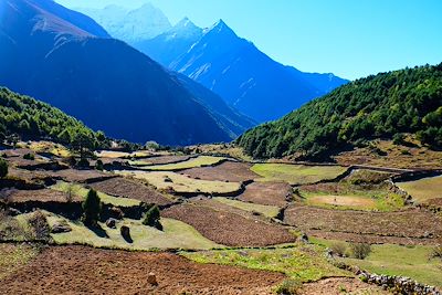 Khumbu - Himalaya - Népal