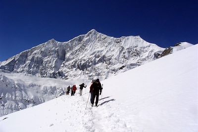 Tour du Dhaulagiri - Népal