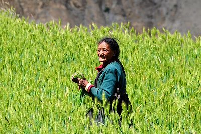 Haut Dolpo - Népal