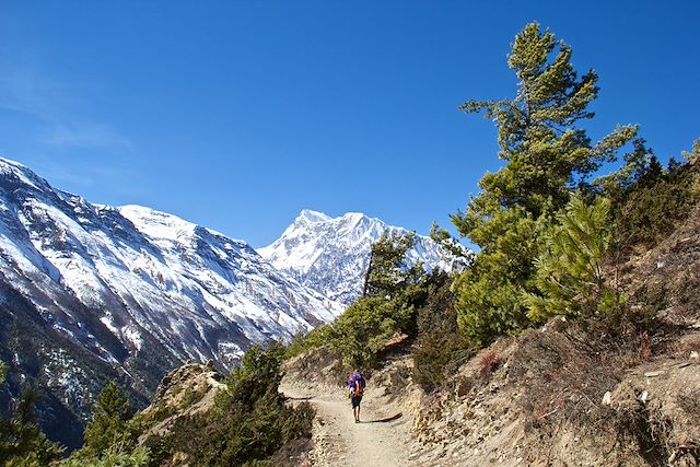 Voyage Tour des Annapurnas