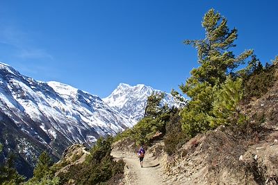 Tour des Annapurnas