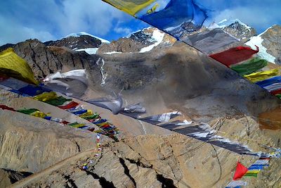 Près de Thorong Phedi - Annapurna - Népal