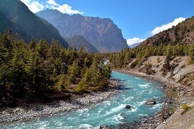 Près du village de Pisang - Annapurna - Népal