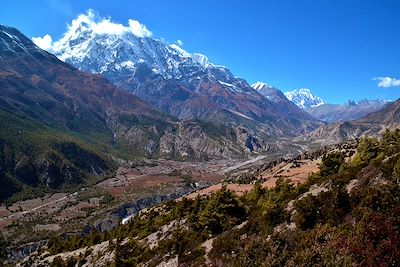 Près du village de Ngawal - Annapurna - Népal