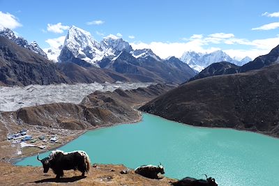 Lac de Gokyo - Khumbu - Népal