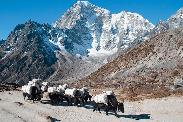 Voyage Gokyo et Everest