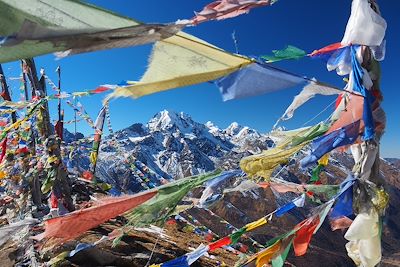 Vallée du Langtang - Népal