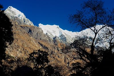 Vallée du Langtang - Népal