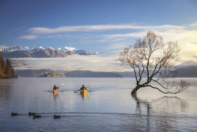 Voyage Terrain de jeu infini au pays des Kiwis !