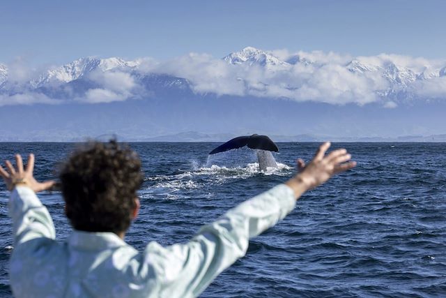 Voyage Faune sauvage de l'île du sud 