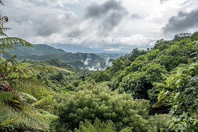 Waimangu Valley - Nouvelle-Zélande