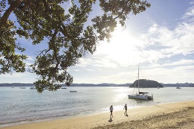 catamaran à Paihia, 