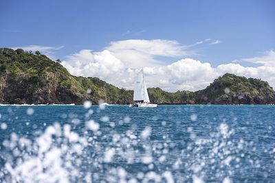  Virée en catamaran a Paihia