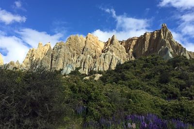 Clay Cliffs - Nouvelle-Zélande