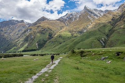 Vers Rob Roy Glacier- Nouvelle-Zélande